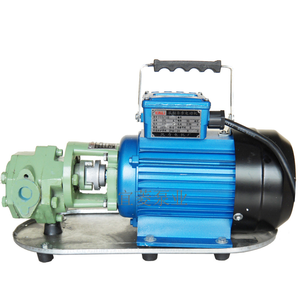 WCB手提式齿轮泵